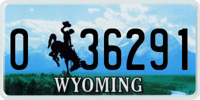 WY license plate 036291