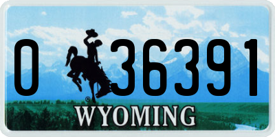 WY license plate 036391
