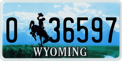 WY license plate 036597