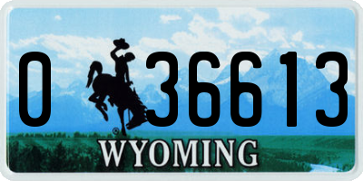 WY license plate 036613