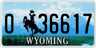 WY license plate 036617