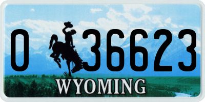 WY license plate 036623