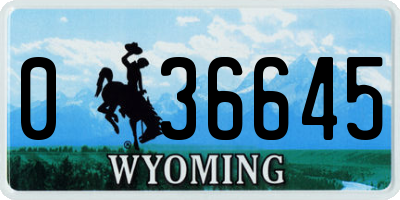 WY license plate 036645