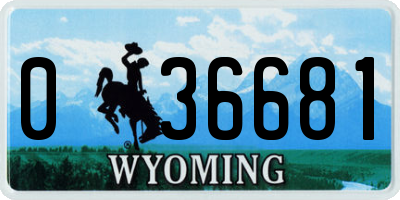 WY license plate 036681