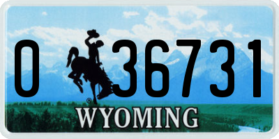 WY license plate 036731