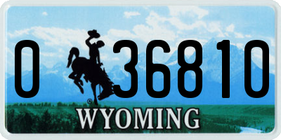WY license plate 036810
