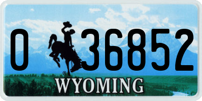 WY license plate 036852