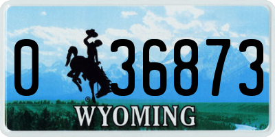 WY license plate 036873