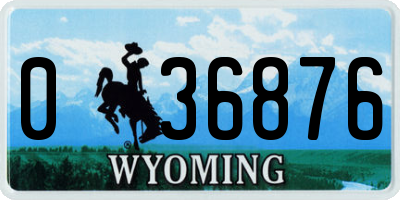 WY license plate 036876