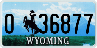 WY license plate 036877
