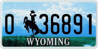 WY license plate 036891