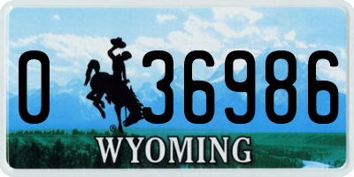 WY license plate 036986