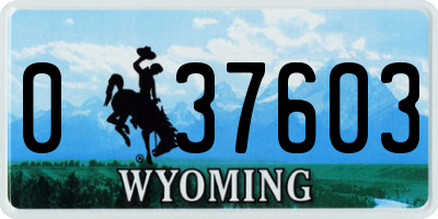 WY license plate 037603