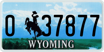 WY license plate 037877