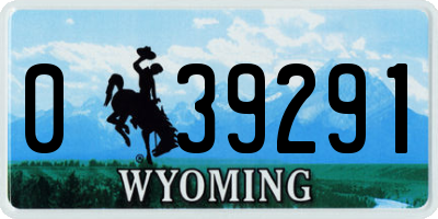 WY license plate 039291
