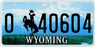 WY license plate 040604