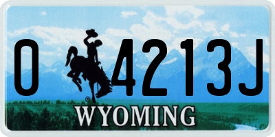 WY license plate 04213J
