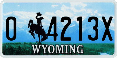 WY license plate 04213X
