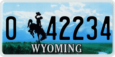 WY license plate 042234