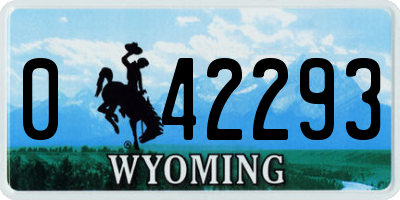 WY license plate 042293