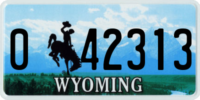 WY license plate 042313
