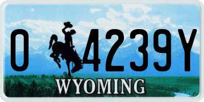 WY license plate 04239Y