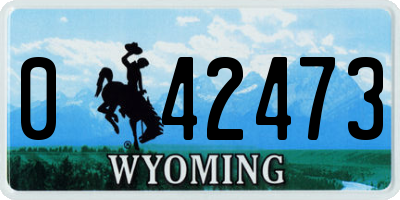 WY license plate 042473