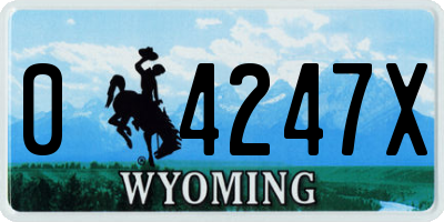 WY license plate 04247X