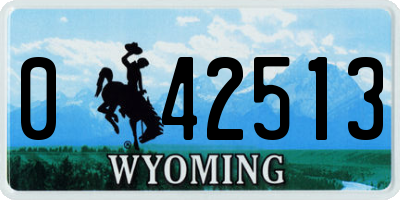 WY license plate 042513