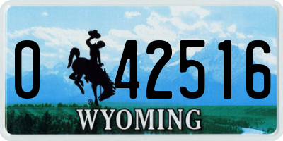 WY license plate 042516