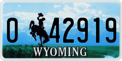 WY license plate 042919