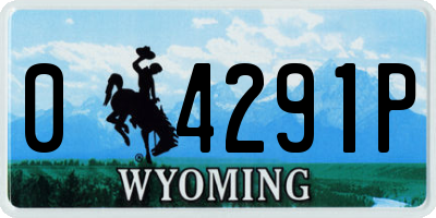 WY license plate 04291P