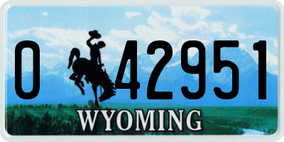 WY license plate 042951