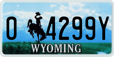 WY license plate 04299Y