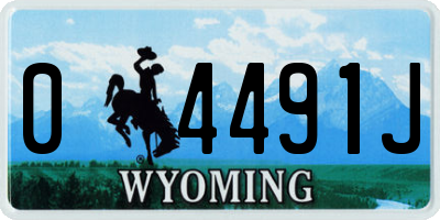 WY license plate 04491J