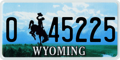 WY license plate 045225