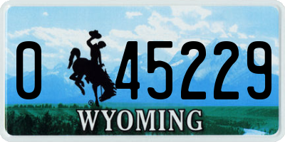 WY license plate 045229