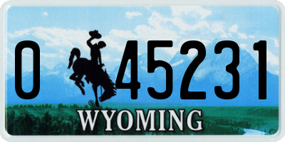 WY license plate 045231