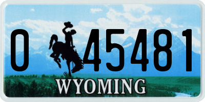 WY license plate 045481