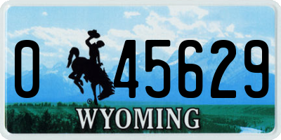 WY license plate 045629