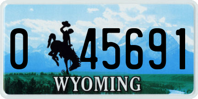 WY license plate 045691