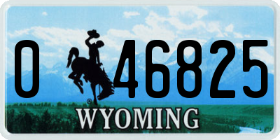 WY license plate 046825