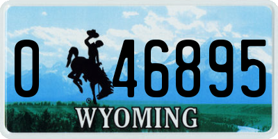 WY license plate 046895