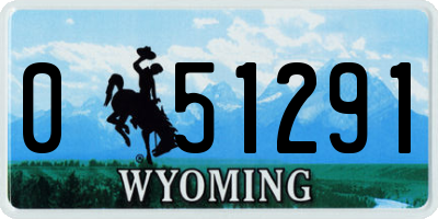 WY license plate 051291