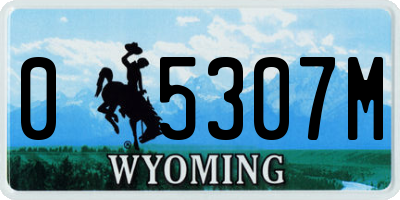 WY license plate 05307M