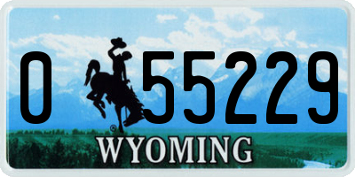 WY license plate 055229