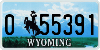 WY license plate 055391