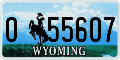 WY license plate 055607