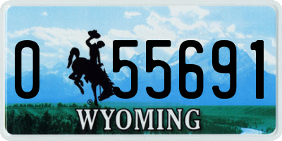 WY license plate 055691