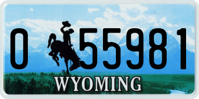 WY license plate 055981